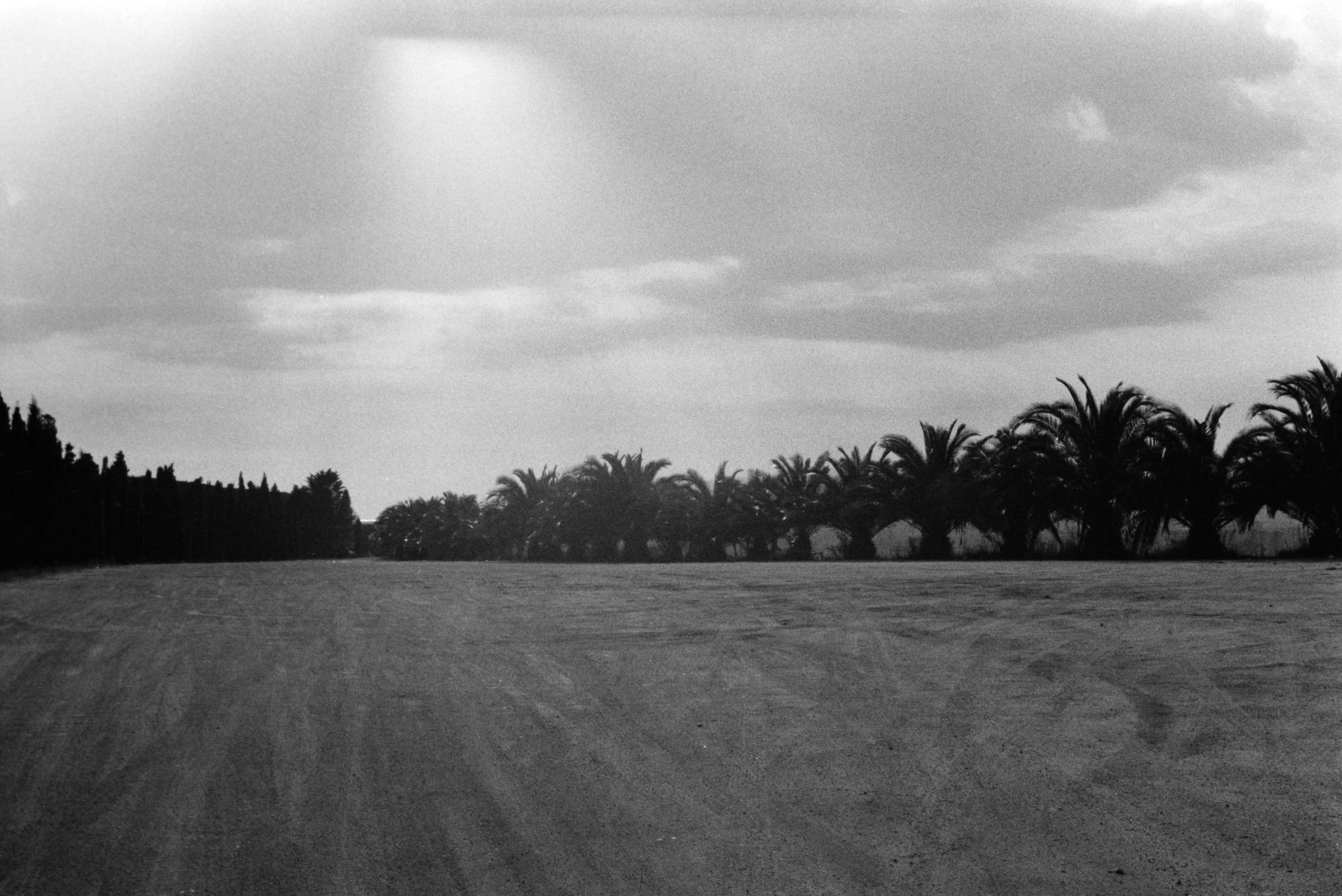 AHP F1995 10 001 sc240815 img31 NLP